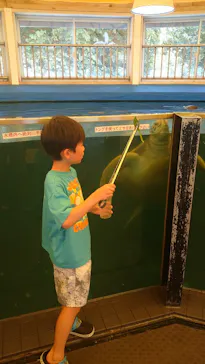 越前松島水族館に投稿された画像（2026/8/23）