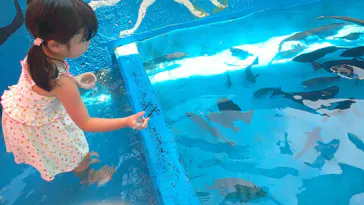 越前松島水族館に投稿された画像（2026/8/23）