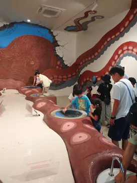 越前松島水族館に投稿された画像（2026/8/23）