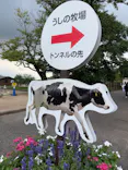 マザー牧場に投稿された画像（2026/8/24）