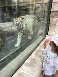 東武動物公園に投稿された画像（2026/8/23）