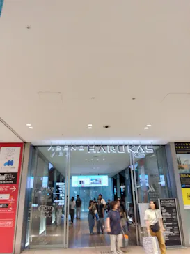 ハルカス300(展望台)に投稿された画像（2026/8/23）