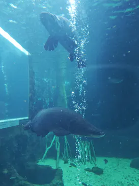 栃木県なかがわ水遊園に投稿された画像（2026/8/23）