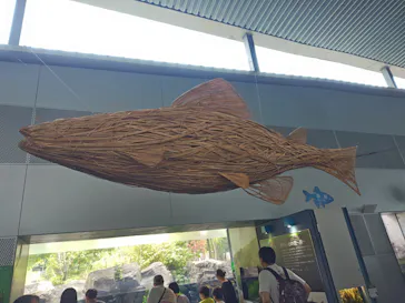 栃木県なかがわ水遊園に投稿された画像（2026/8/23）