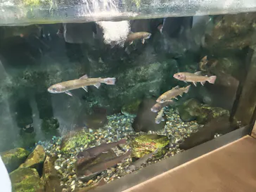 栃木県なかがわ水遊園に投稿された画像（2026/8/23）