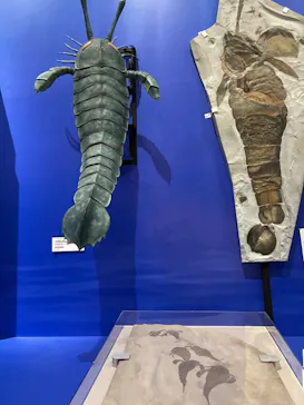 特別展　大絶滅展に投稿された画像（2026/8/23）