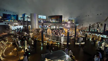 福井県立恐竜博物館に投稿された画像（2026/8/23）
