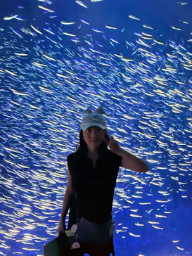大分マリーンパレス水族館 「うみたまご」に投稿された画像（2026/8/23）