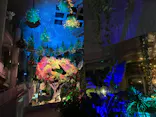 BOTANICA MUSEUMに投稿された画像（2026/8/24）