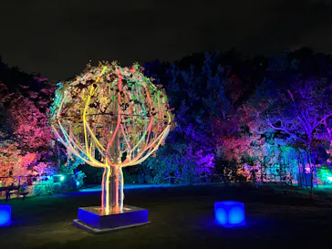 BOTANICA MUSEUMに投稿された画像（2026/8/23）