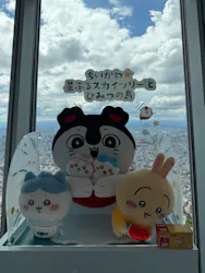 東京スカイツリー®に投稿された画像（2026/8/23）