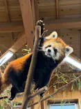 伊豆シャボテン動物公園に投稿された画像（2026/8/24）