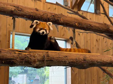 伊豆シャボテン動物公園に投稿された画像（2026/8/23）