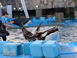 名古屋港水族館に投稿された画像（2026/8/24）