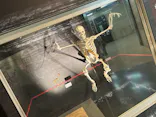 国立科学博物館に投稿された画像（2026/8/24）