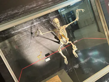 国立科学博物館に投稿された画像（2026/8/24）