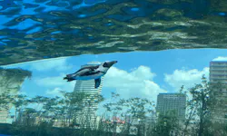 サンシャイン水族館に投稿された画像（2026/8/24）