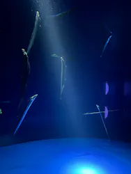 サンシャイン水族館に投稿された画像（2026/8/24）