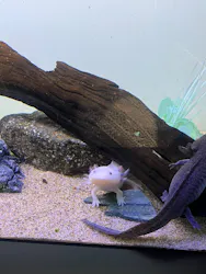 サンシャイン水族館に投稿された画像（2026/8/24）