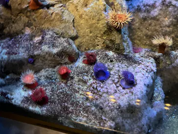 葛西臨海水族園に投稿された画像（2026/8/24）