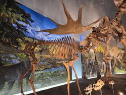 福井県立恐竜博物館に投稿された画像（2026/8/24）