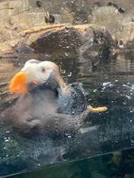 葛西臨海水族園に投稿された画像（2026/8/24）