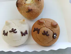 牧歌の里に投稿された画像（2026/8/24）