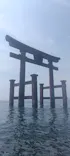 フライボード琵琶湖 白ひげビーチ店に投稿された画像（2026/8/24）