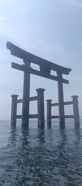 フライボード琵琶湖 白ひげビーチ店に投稿された画像（2026/8/24）