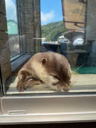 下田海中水族館に投稿された画像（2026/8/24）