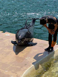 下田海中水族館に投稿された画像（2026/8/24）