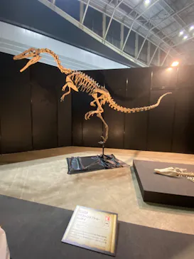 ヨコハマ恐竜展２０２６～恐竜の食卓大図鑑～に投稿された画像（2026/8/24）
