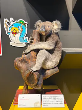 特別展「いきもの超ワールド展　国立科学博物館×ダーウィンが来た！」（国立科学博物館）に投稿された画像（2026/8/24）
