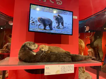 特別展「いきもの超ワールド展　国立科学博物館×ダーウィンが来た！」（国立科学博物館）に投稿された画像（2026/8/24）