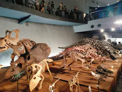 福井県立恐竜博物館に投稿された画像（2026/8/24）