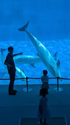 名古屋港水族館に投稿された画像（2026/8/24）