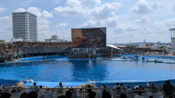 名古屋港水族館に投稿された画像（2026/8/24）