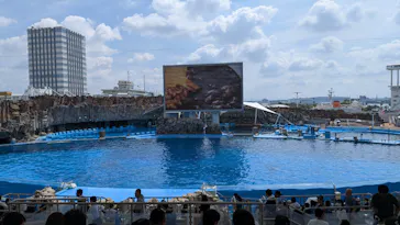 名古屋港水族館に投稿された画像（2026/8/24）