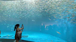名古屋港水族館に投稿された画像（2026/8/24）