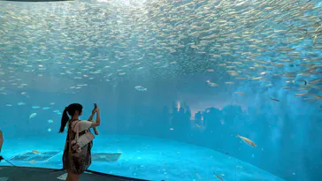 名古屋港水族館に投稿された画像（2026/8/24）