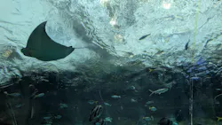 名古屋港水族館に投稿された画像（2026/8/24）
