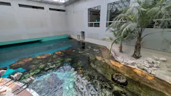 名古屋港水族館に投稿された画像（2026/8/24）