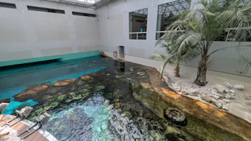 名古屋港水族館に投稿された画像（2026/8/24）