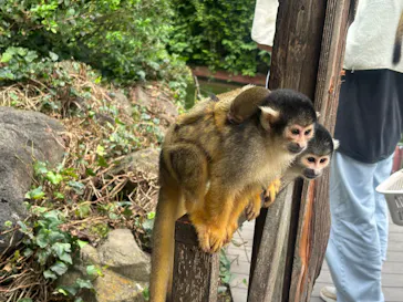 伊豆シャボテン動物公園に投稿された画像（2026/8/24）