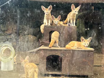 伊豆シャボテン動物公園に投稿された画像（2026/8/24）