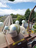 鈴鹿サーキットに投稿された画像（2026/8/24）