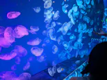 名古屋港水族館に投稿された画像（2026/8/24）