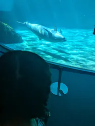 名古屋港水族館に投稿された画像（2026/8/24）