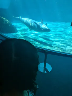 名古屋港水族館に投稿された画像（2026/8/24）
