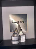 impera accessory（インペラアクセサリー）に投稿された画像（2026/8/24）